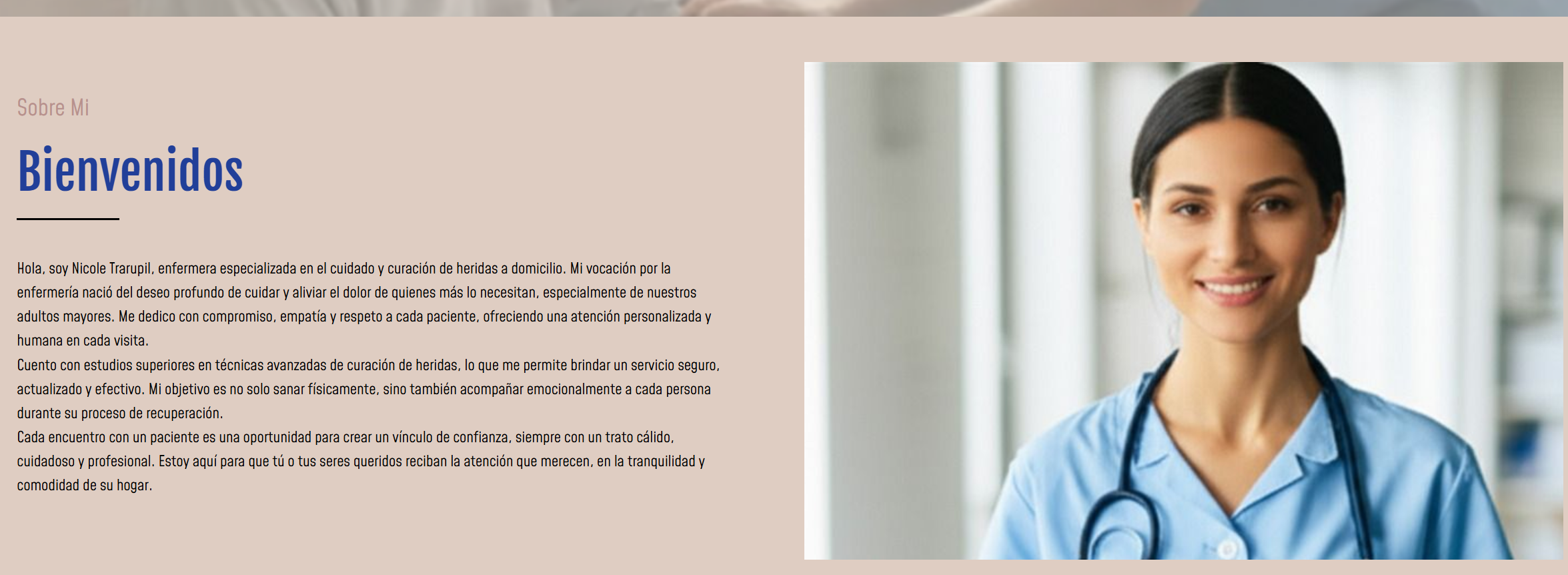 WebApp Nicole Trarupil - Sitio Web Nicole 